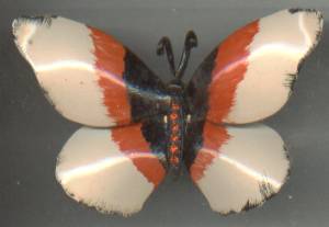Brooch/Lg. Enamaled Tin Butterfly W/R/S