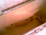 Purse/Dorset-Rex/Plastic/Lucite/Circa