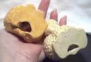 Vanity Item(s)/ Kitch Ceramic Poodle Lipstick Holders