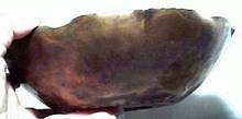Metalware/Craftsmen Inc. Hand Hammered Copper Bowl