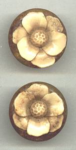 Button(s) Confettie Lucite Floral W/Shank (2)