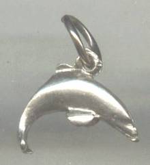 Charm(s)/Leaping Dolphin