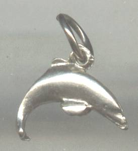 Charm(s)/Leaping Dolphin