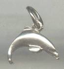 Charm(s)/Leaping Dolphin
