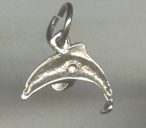 Charm(s)/Leaping Dolphin