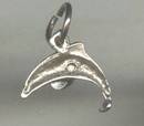 Charm(s)/Leaping Dolphin