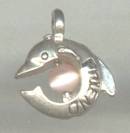 Charm(s)/Dolphin