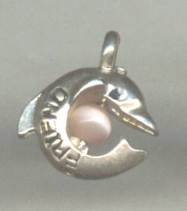 Charm(s)/Dolphin