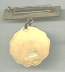 Service Pin(s)/Oklahoma City 1915 Medical Assn. of The S.W.