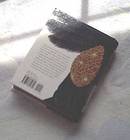 STar Wars/Episode 1/The Queens Amulet