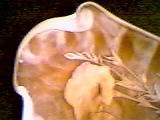 Vanity Item(s)/Incolay/Carved Faux