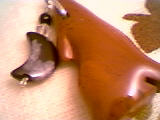 Pendent/Native American/Navajo Fetish/Howling Coyote W/ Moon Charm