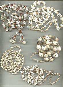 Necklace/Lot-5-Tourist Type Shell Necklaces