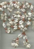 Necklace/Lot-5-Tourist Type Shell Necklaces
