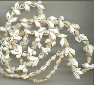 Necklace/Lot-5-Tourist Type Shell Necklaces