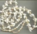 Necklace/Lot-5-Tourist Type Shell Necklaces