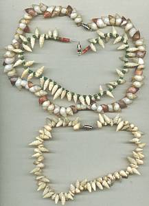 Necklace/Lot-3-Tourist Type Shell Chokers