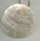Necklace/Tourist Type/Shell Madallion On GT Chain