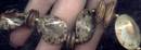 Set/Shell Choker W/Pierced Ears