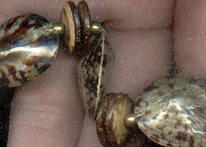 Set/Shell Choker W/Pierced Ears