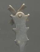 Souvenir Spoon/Netherland Sterling Salt