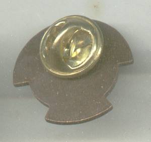 Service Pin(s)/Veterans Helping Veterans 2000
