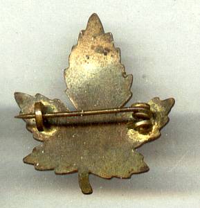 Souvenirs/Canada Enameled Leaf Pin