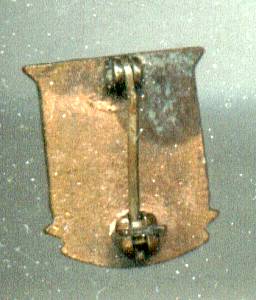 School Pin(s)/Pictoral Yearbook Staff