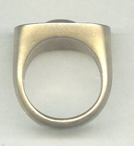 Ring/Man's/Goldtone/Egyptian Motif/Bronze?