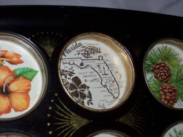 Souvenirs/Florida Tin Drinks Tray With Graphics