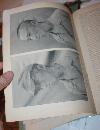 USA Military Bombing Survey Book with Maps Hiroshima Nagasaki 1946