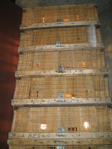 Dovecote Light Fixture
