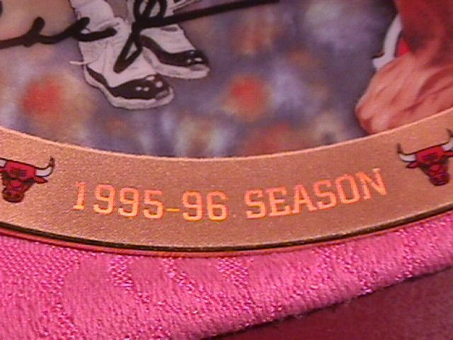 1995-96 Most Valuable Player Collectors Plate