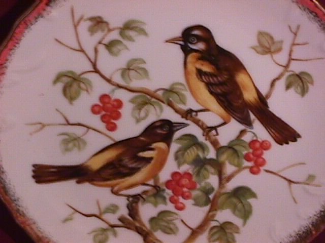 Norleans Oriole & Wild Cherry Display Plate