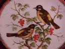 Norleans Oriole & Wild Cherry Display Plate