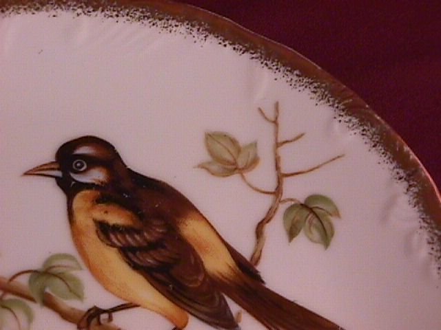 Norleans Oriole & Wild Cherry Display Plate