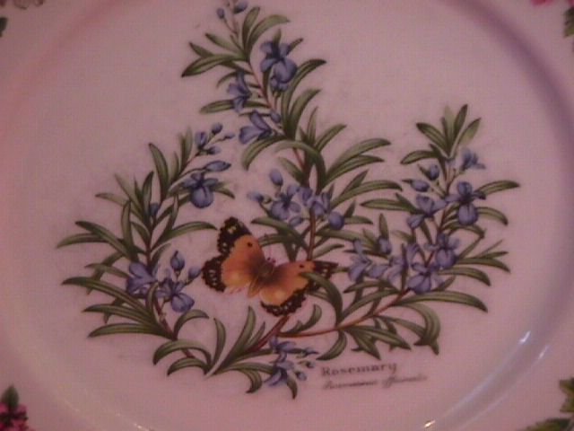 Royal Worcester Porcelain