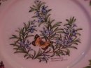 Royal Worcester Porcelain