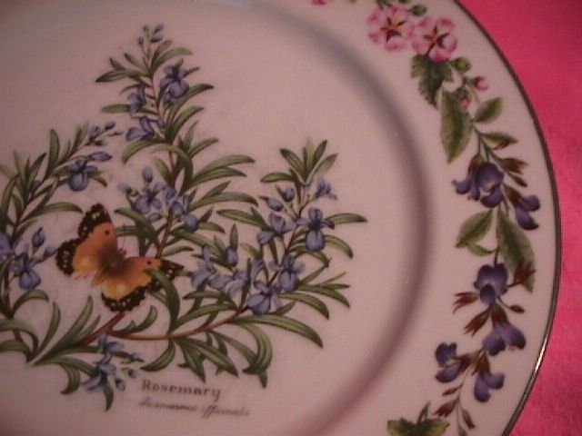Royal Worcester Porcelain