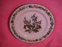 Royal Worcester Porcelain