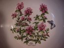 Royal Worcester Porcelain