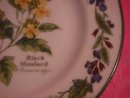 Royal Worcester Porcelain