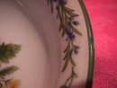 Royal Worcester Porcelain