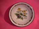 Royal Worcester Porcelain
