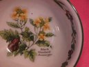 Royal Worcester Porcelain