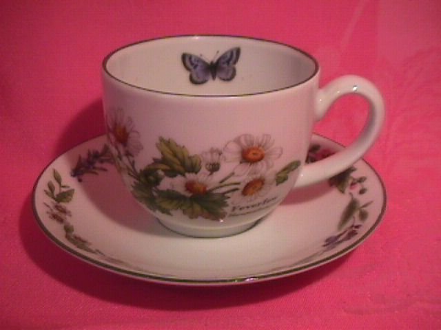 Royal Worcester Porcelain