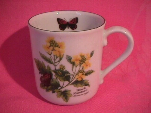 Royal Worcester Porcelain