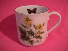 Royal Worcester Porcelain
