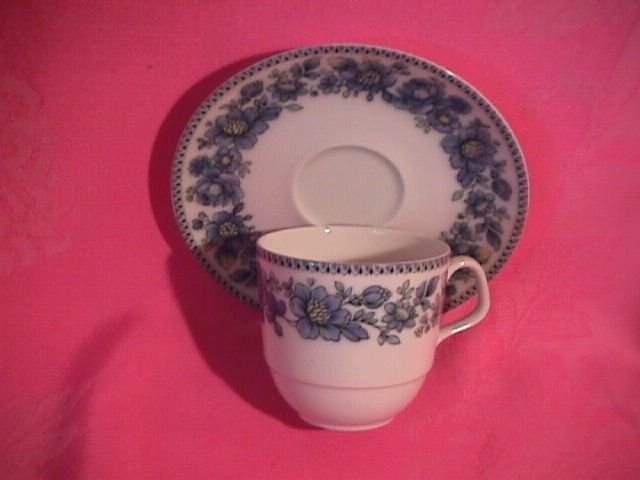 Eschenbach Bavaria Porcelain Cup & Saucer