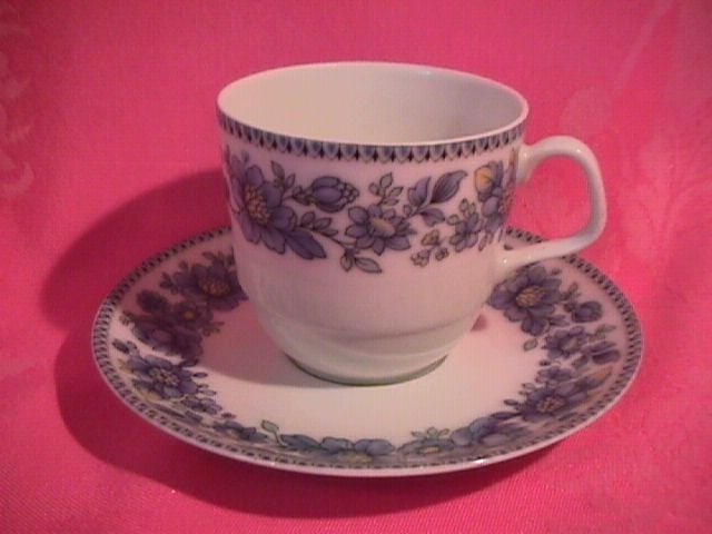 Eschenbach Bavaria Porcelain Cup & Saucer